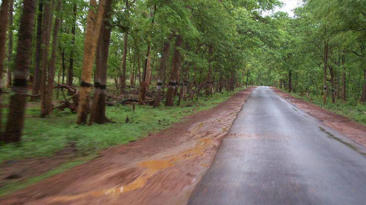 Walk Along the Misty Roads