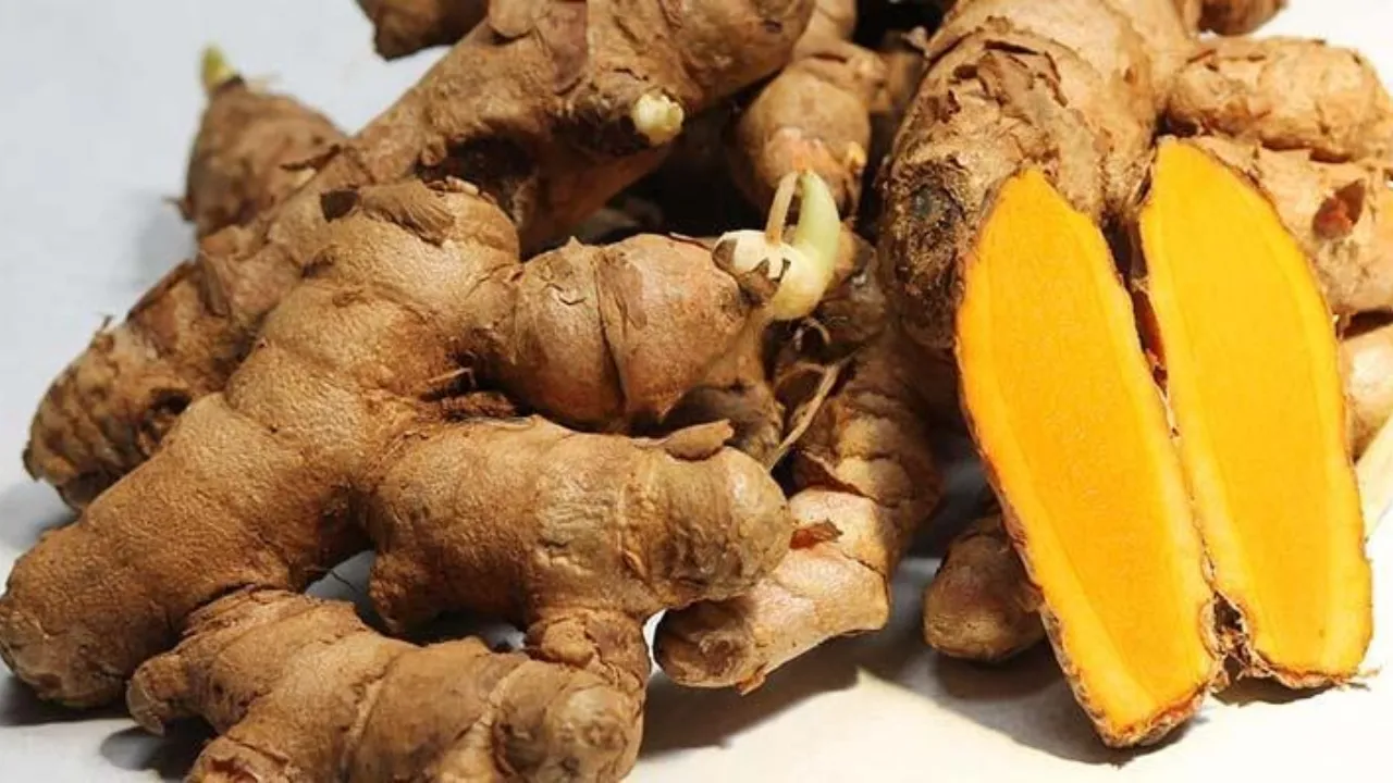 Lakadong Turmeric