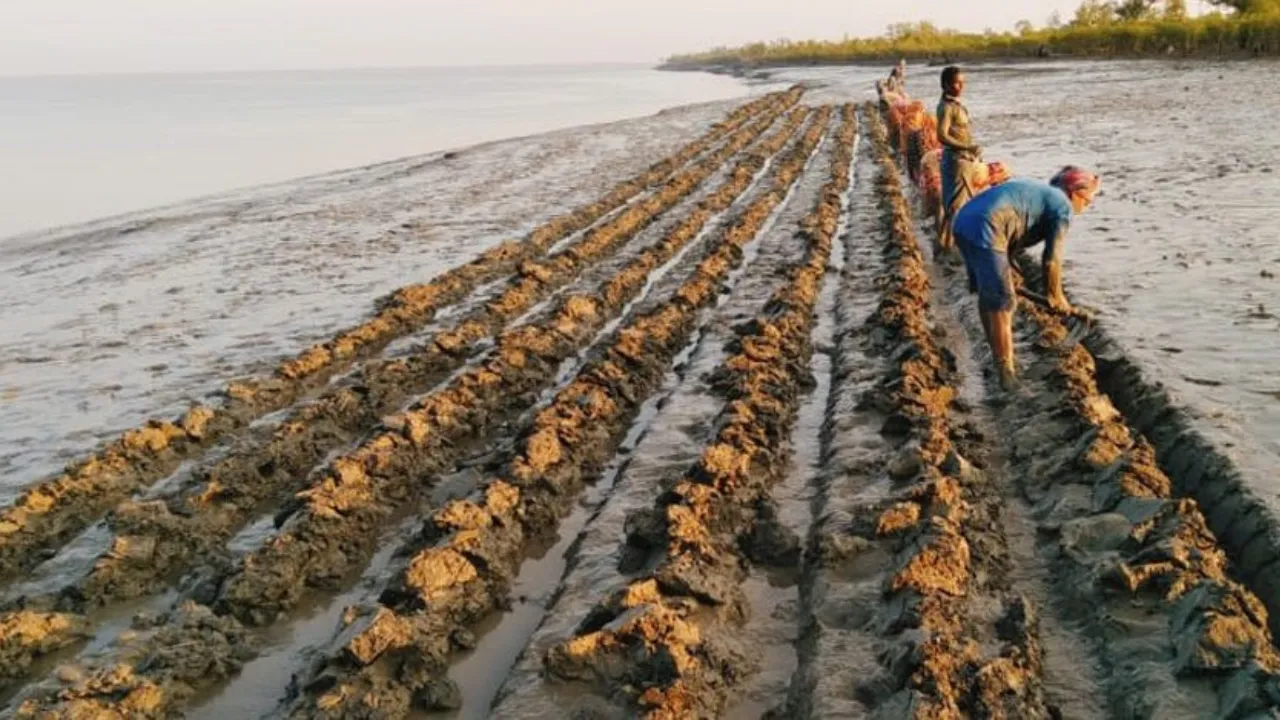 Sustainable Environment and Ecological Development Society (SEEDS)