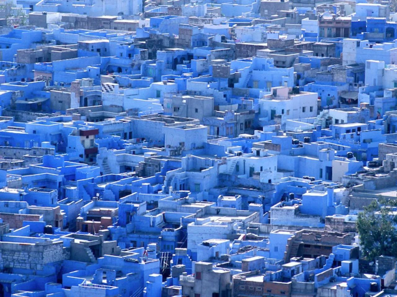Blue City of India 