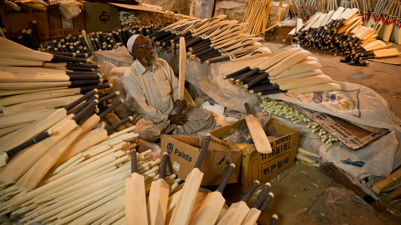 kashmir willow bat