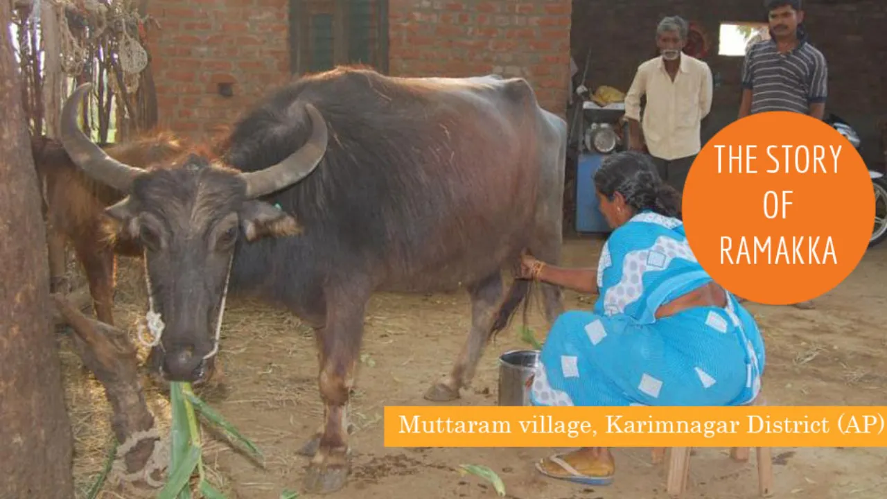 ALC India