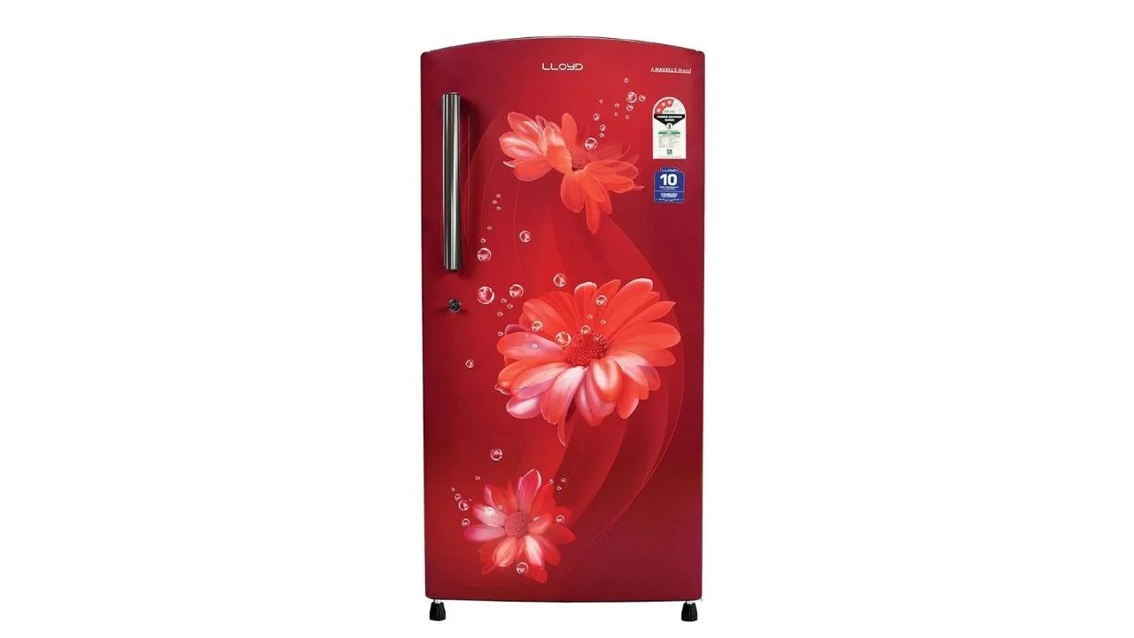  LLOYD 216 L Direct Cool Single Door Refrigerator Daisy Wine