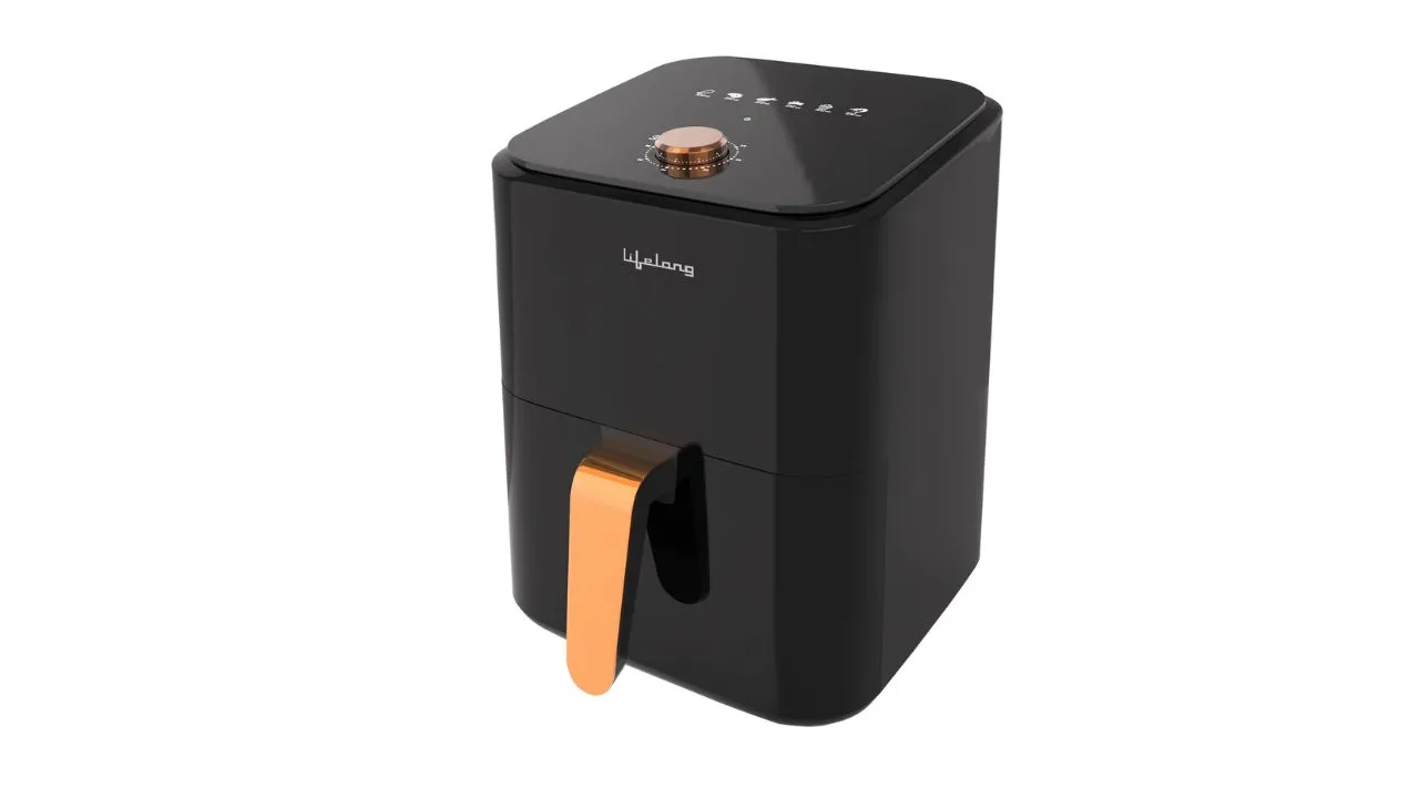 Lifelong Air Fryer