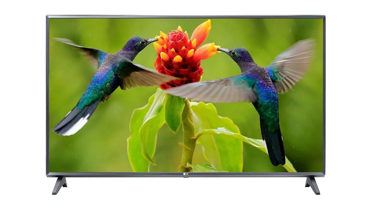 LG 108 cm (43 Inches) TV 