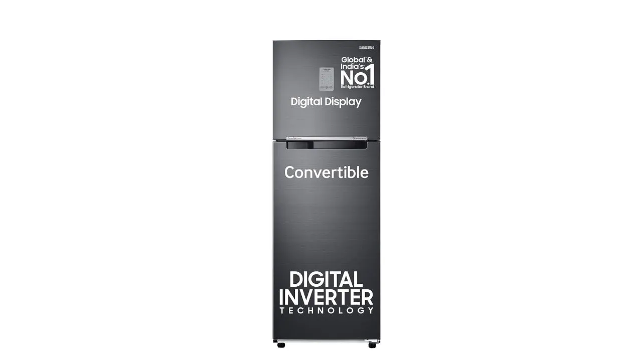 Samsung 256 L, 3 Star Double Door Refrigerator 