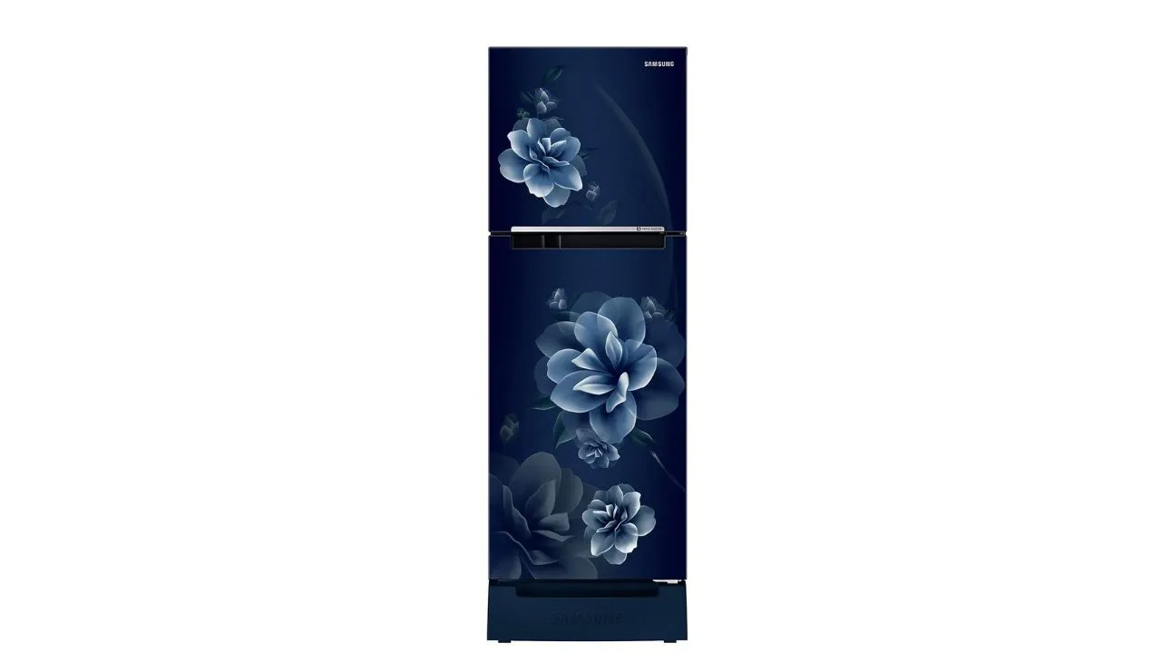 Samsung 236L 2 Star Double Door Refrigerator