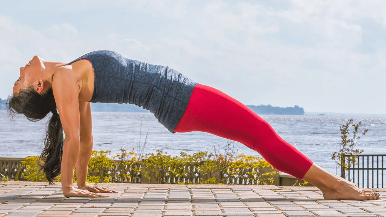 Upward Plank Pose