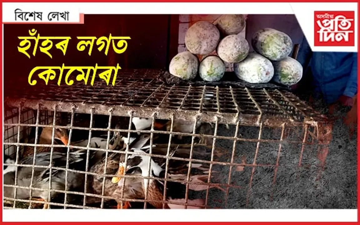 অফাৰ...