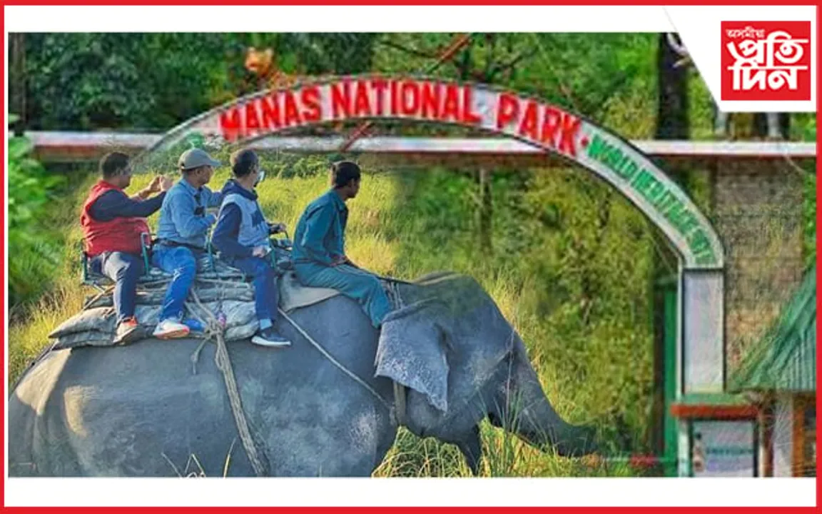 ২০মে'ৰ পৰা বন্ধ হ'ব মানস ৰাষ্ট্ৰীয় উদ্যানৰ হাতী ছাফাৰী আৰু ৰিভাৰ ৰাফটিং...