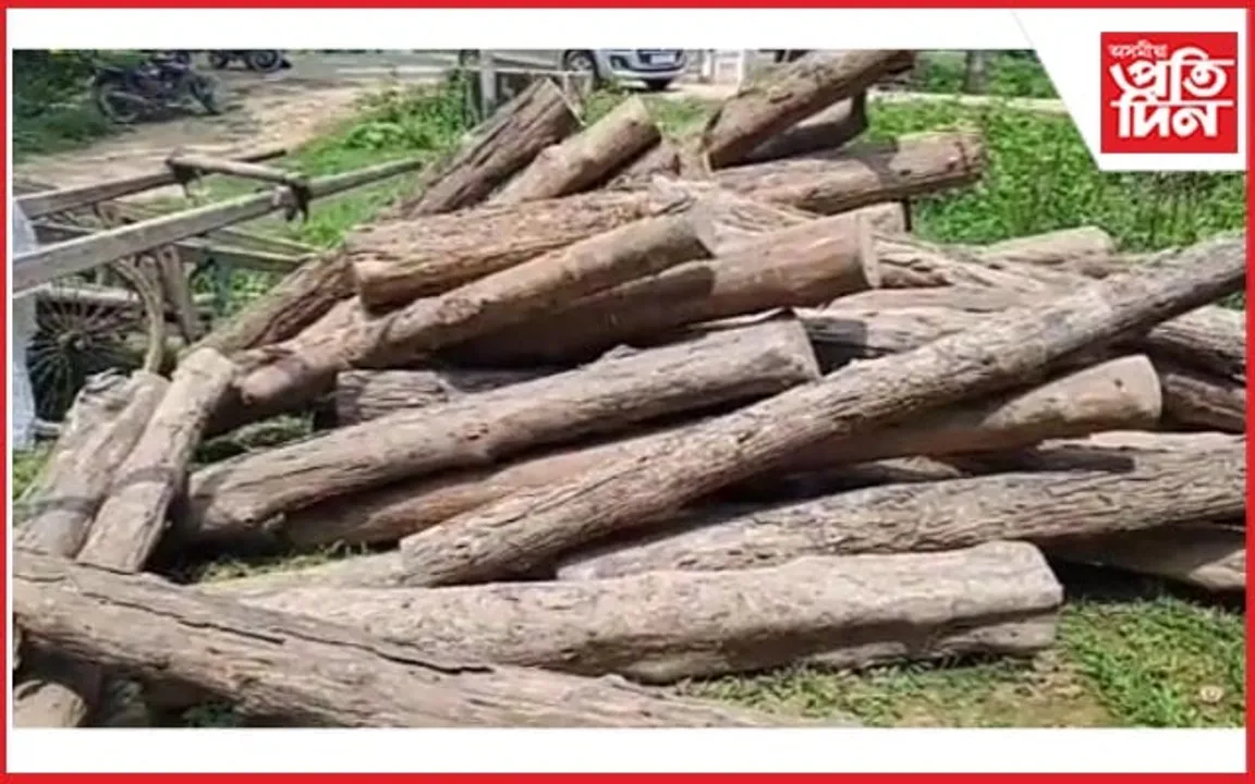হাৱাইপুৰত চোৰাং কাঠ জব্দঃ বন বিভাগৰ কৰ্মচাৰীলৈ সৰৱৰাহকাৰীৰ ভাবুকি
