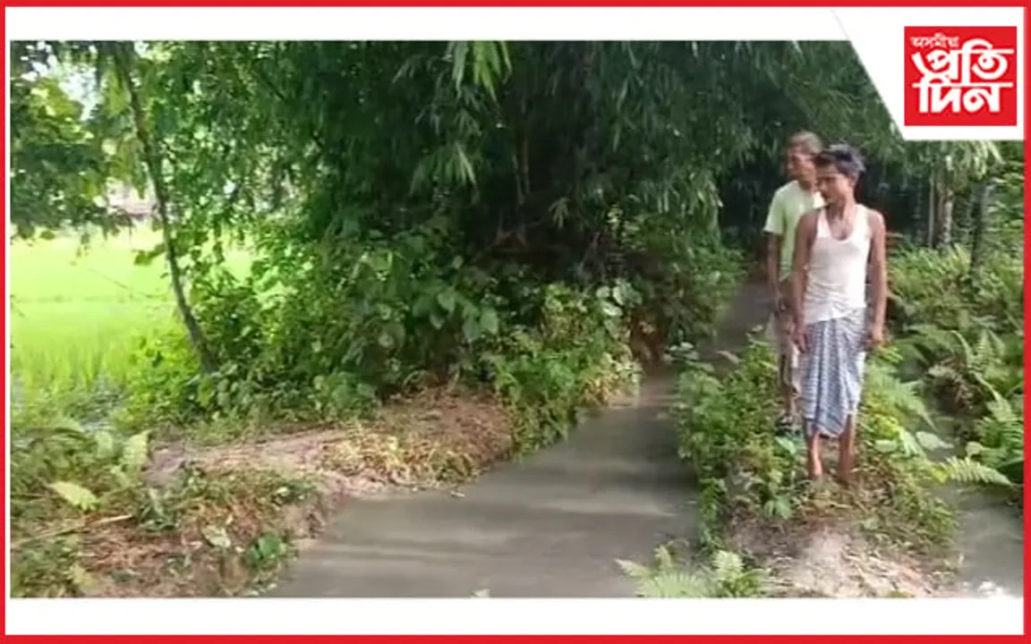 বাক্সাত বনৰীয়া হাতীৰ আক্ৰমণত প্ৰাণ গ'ল যুৱতীৰ 