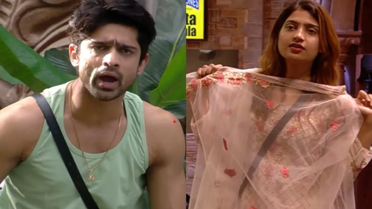 After being out of Bigg Boss's house, Sana Raees Khan reveals whose secrets?