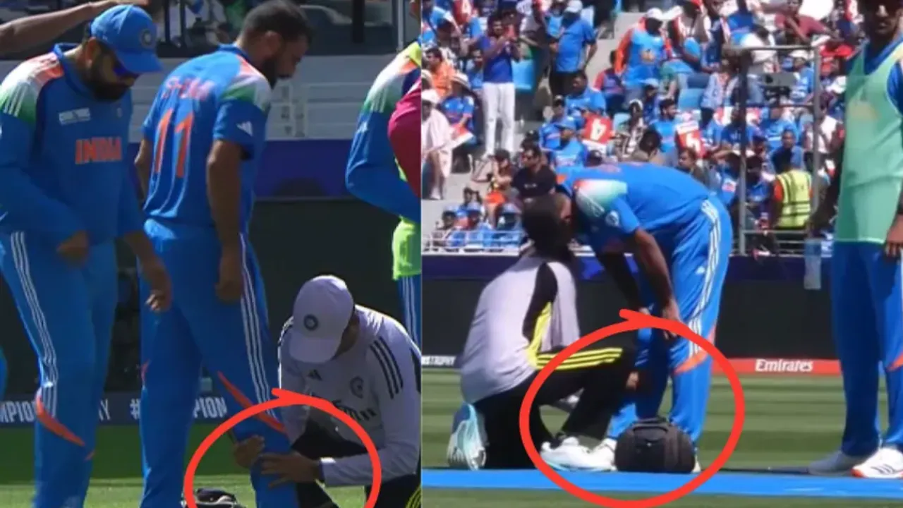 Mohammed Shami vs NZ