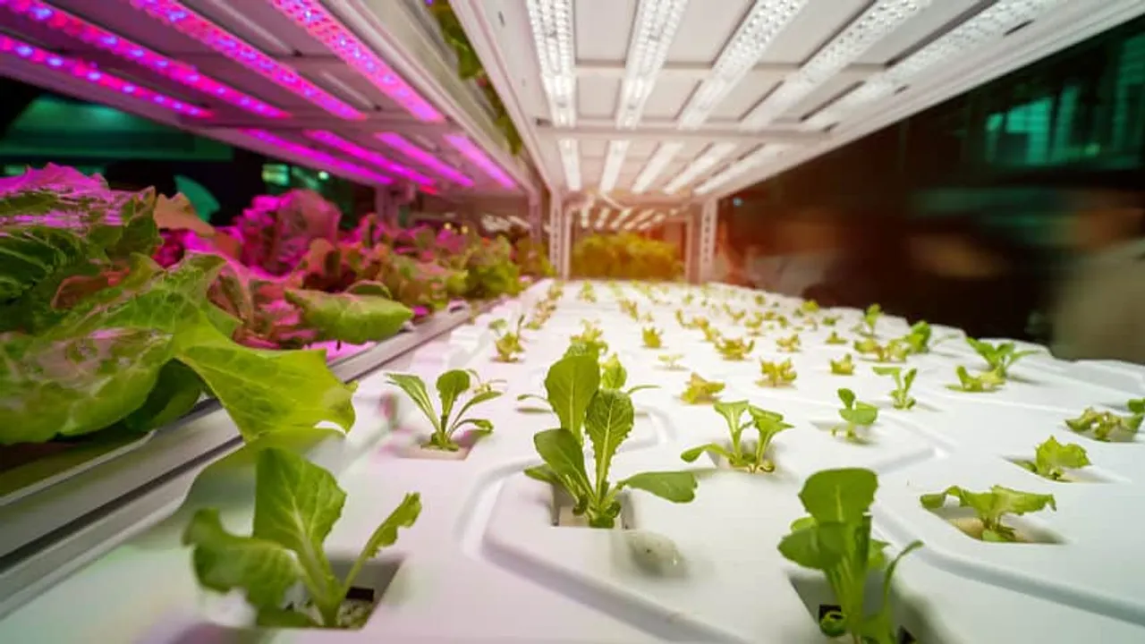 CropData