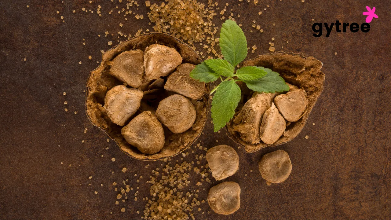 Monk fruit 