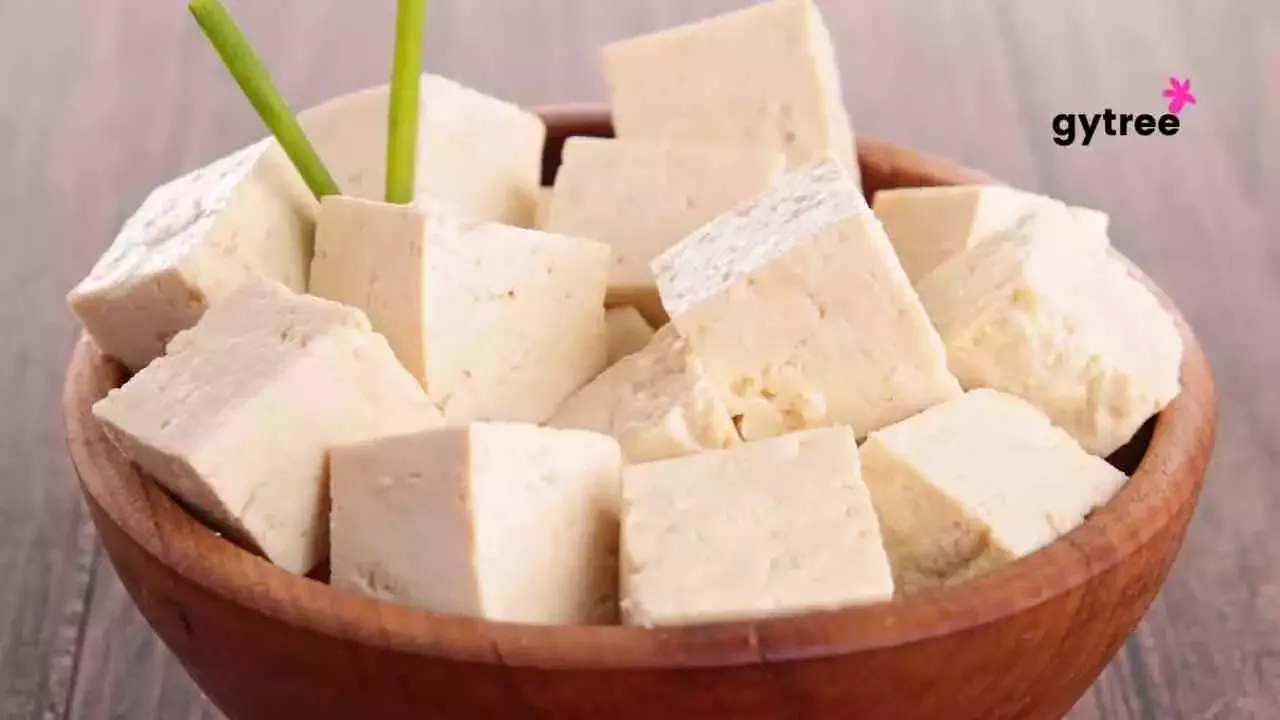 Tofu Protein: Revolutionizing Plants In 8 Rich Ways