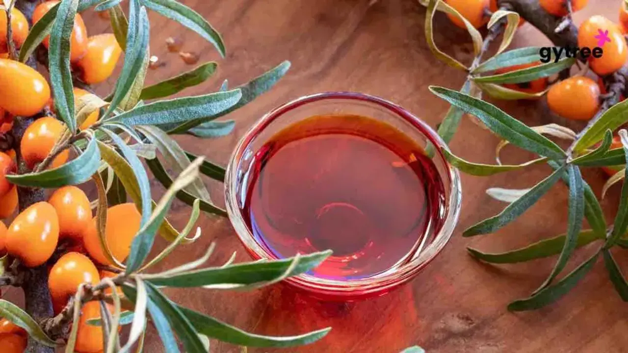 From the Wild to Wellness: 8 Amazing Benefits of Buckthorn for Menopause