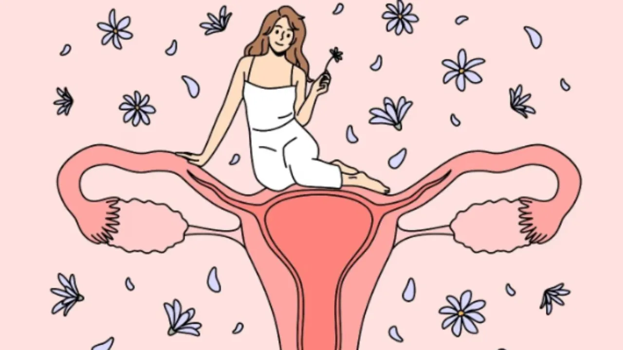 How does pregnancy affect female reproductive system