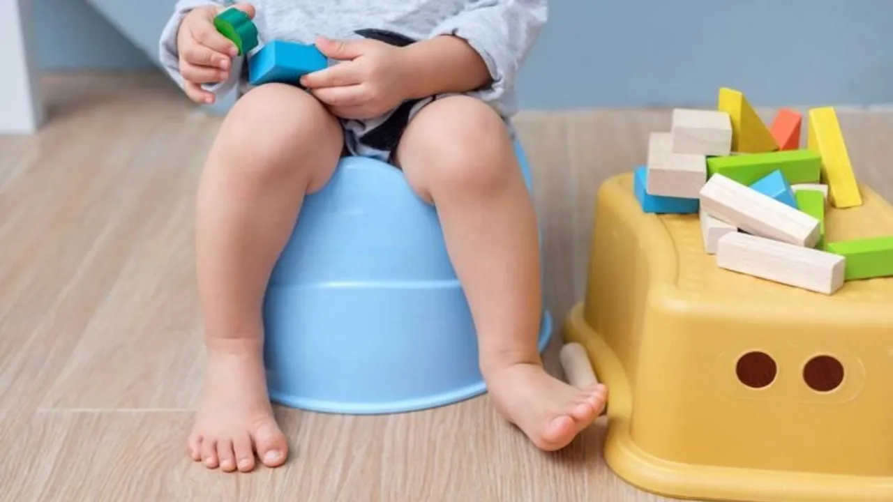 Potty training tips 