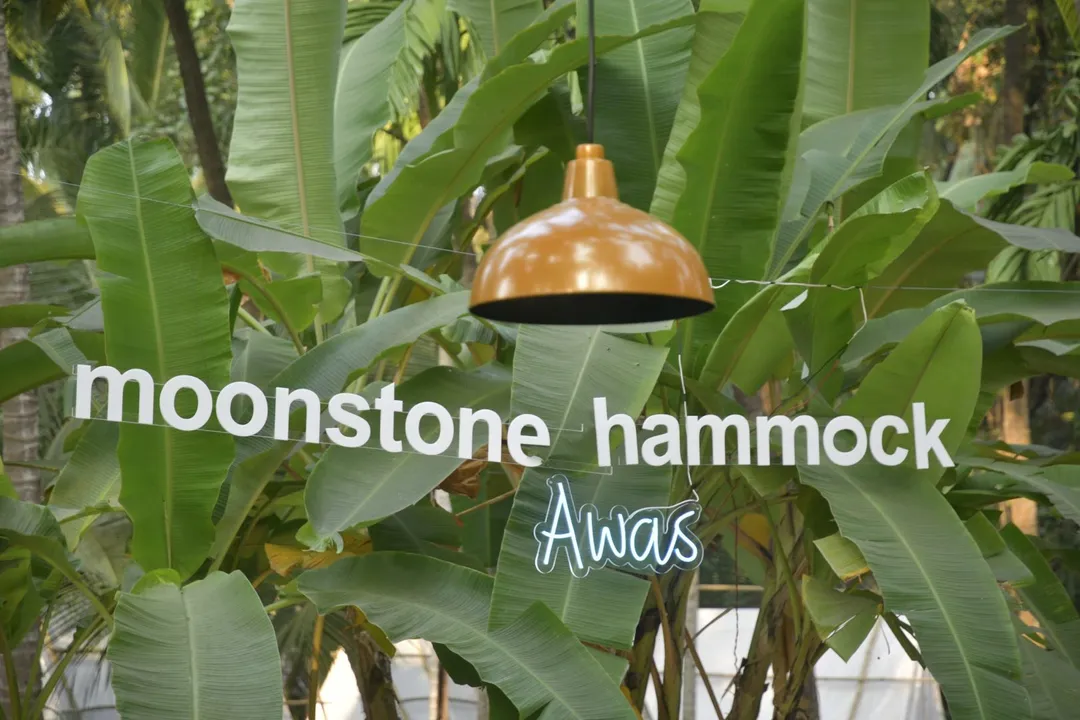 Travel Camping Startup Moonstone Hammock launches its third campsite at Alibaug