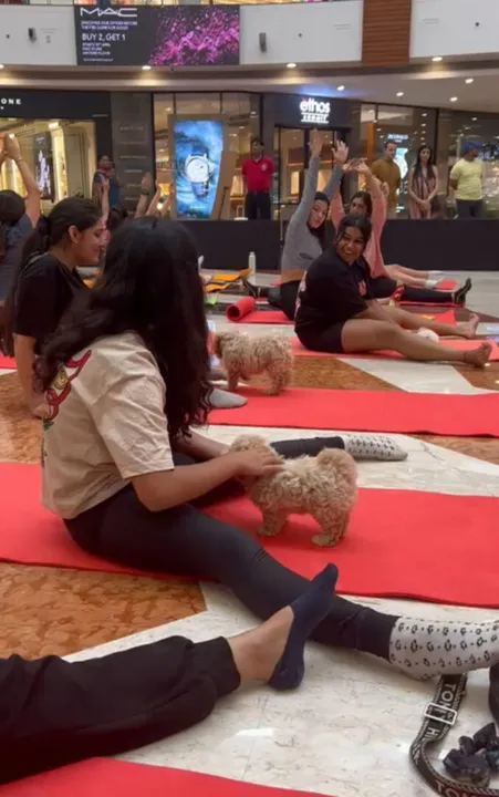 Andaz Delhi is hosting a Pawsome Yoga Session in association with Puppiezo