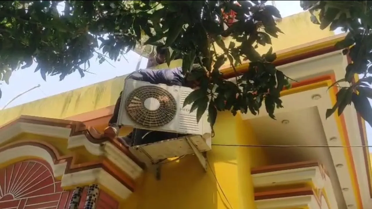 Snake comes out of AC machine