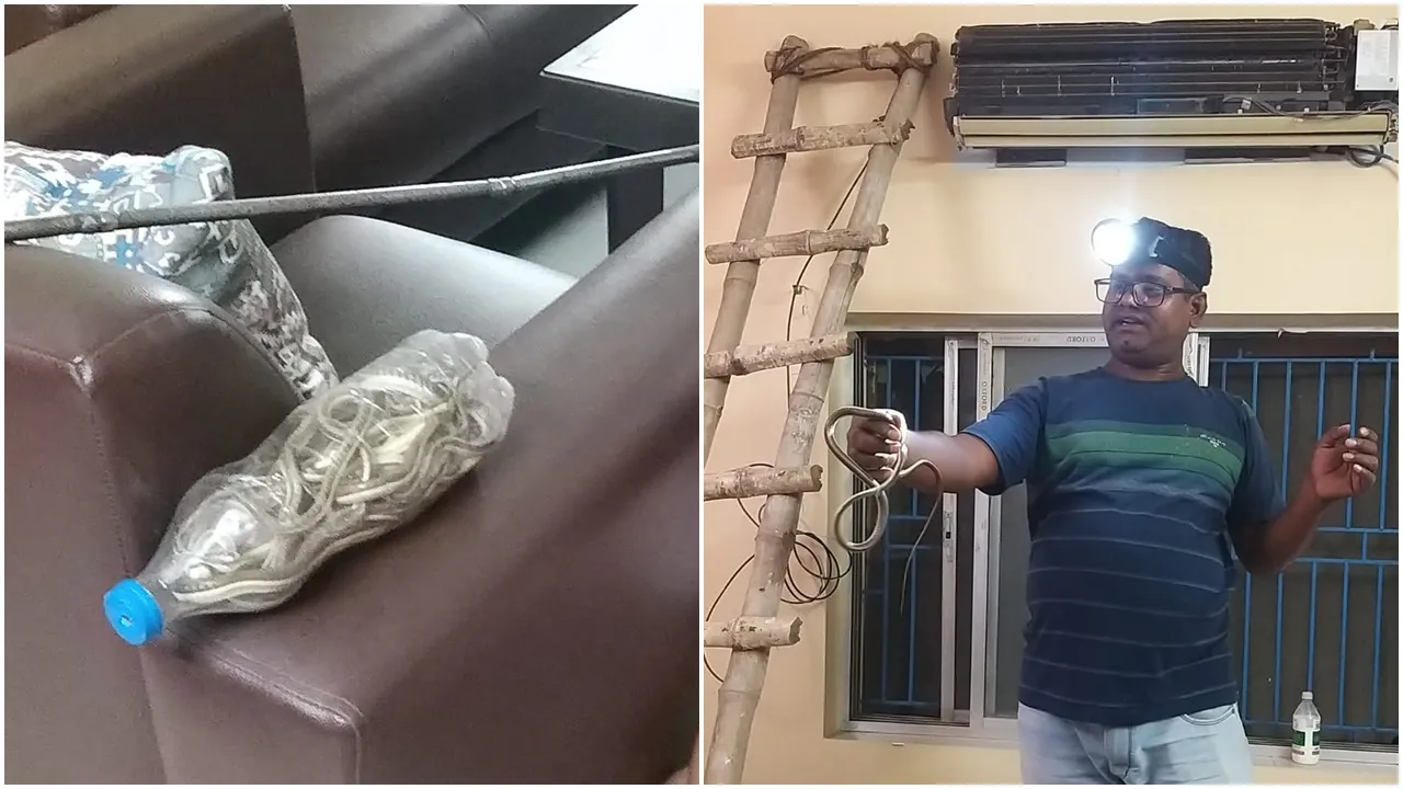 Snake comes out of AC machine