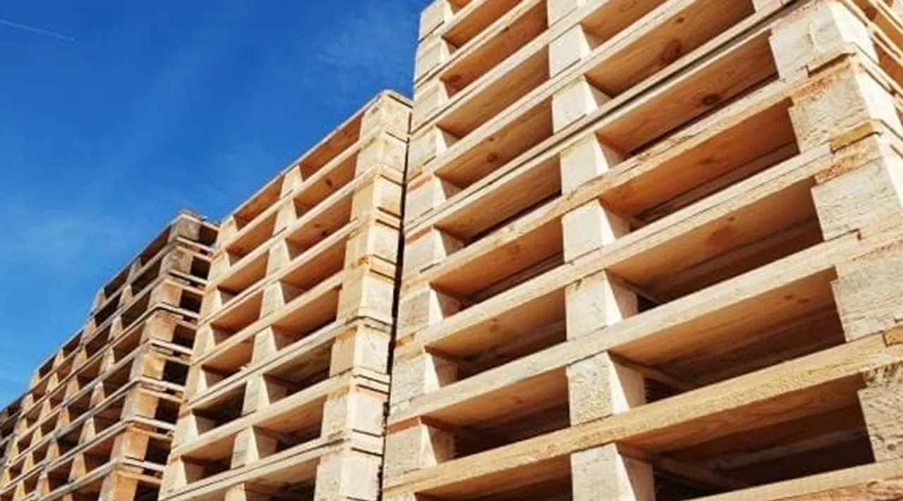  How Used Pallet Containers Can Help Your Business Cut Costs Without Compromising Quality