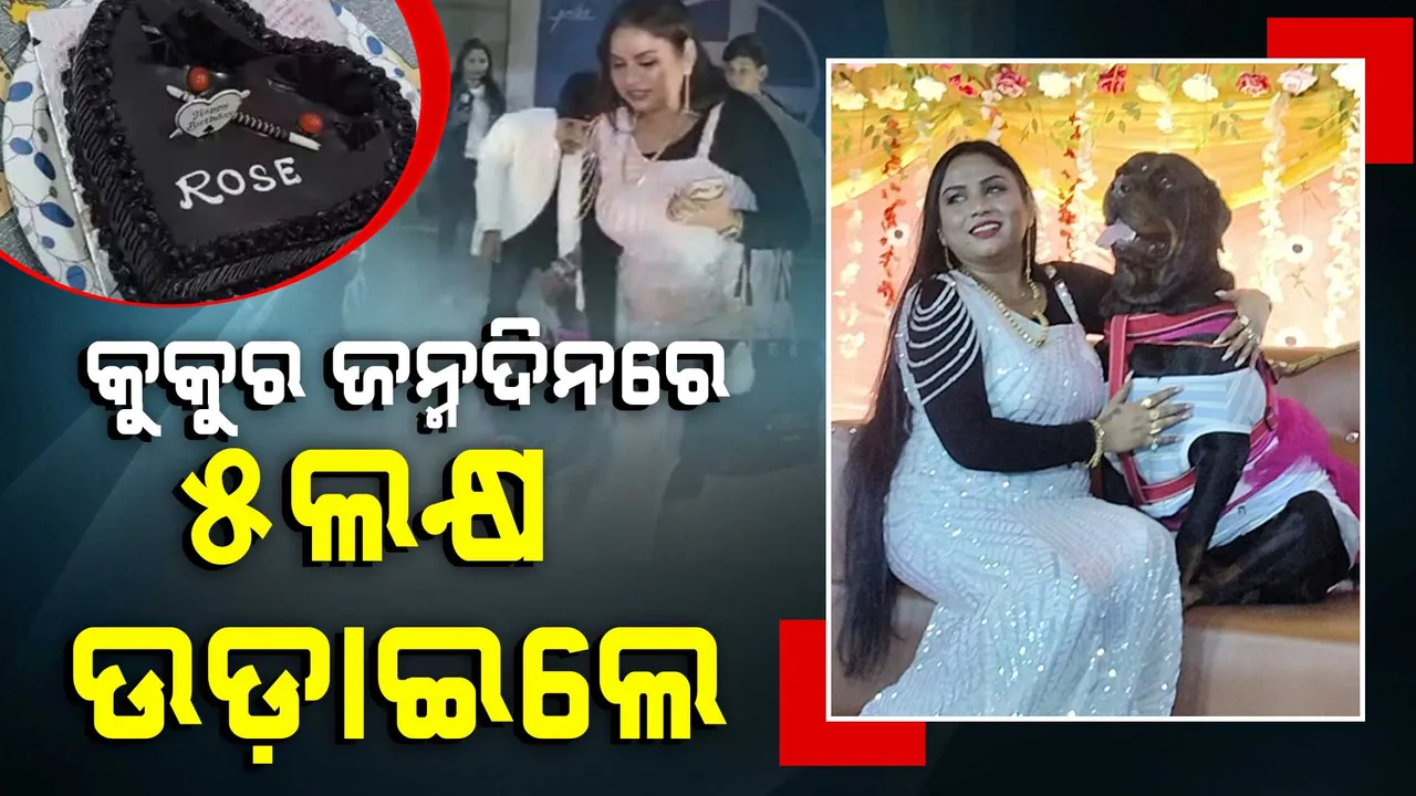  କୁକୁରର ବାର୍ଥ ଡେ କେକର ଦାମ୍ ୪୦ ହଜାର ଟଙ୍କା  । ପୋଷା କୁକୁରର ଜନ୍ମଦିନରେ ଖର୍ଚ୍ଚ କଲେ ୫ ଲକ୍ଷ ଟଙ୍କା ।