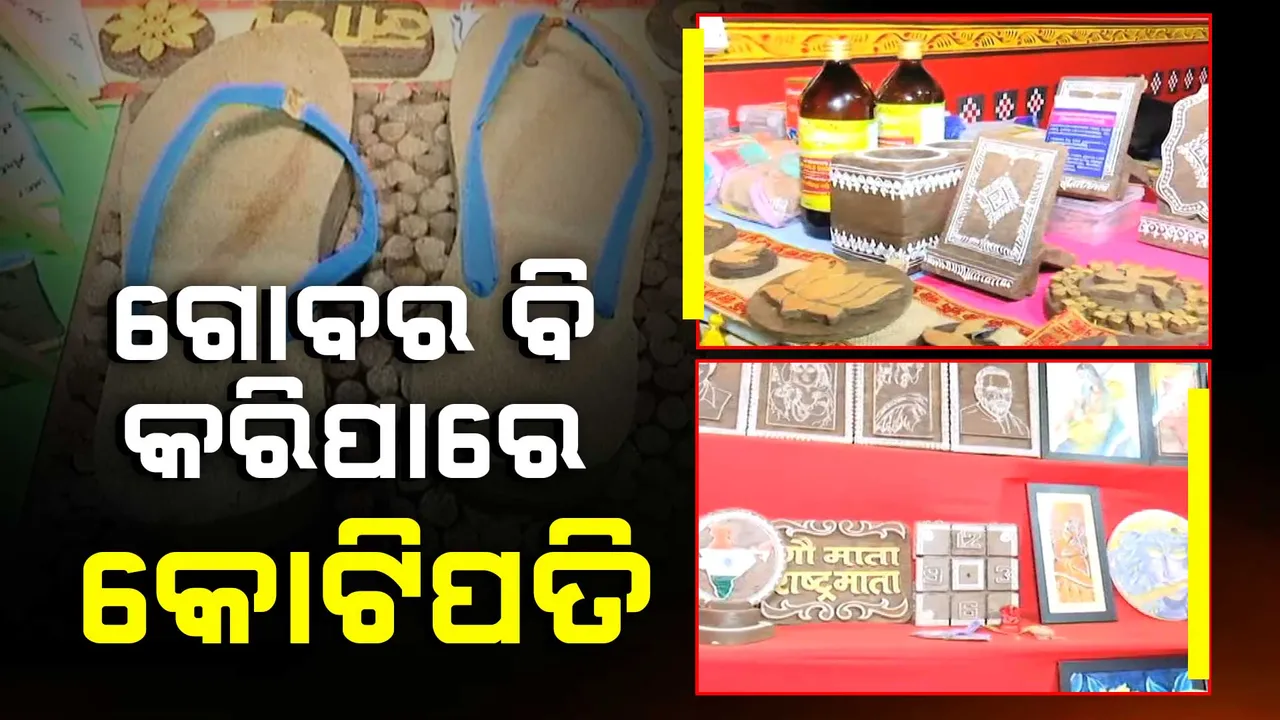  ଗୋବର କରୁଛି କୋଟିପତି । ବାର୍ଷିକ ୫ କୋଟିରୁ ଅଧିକ ଲାଭ !