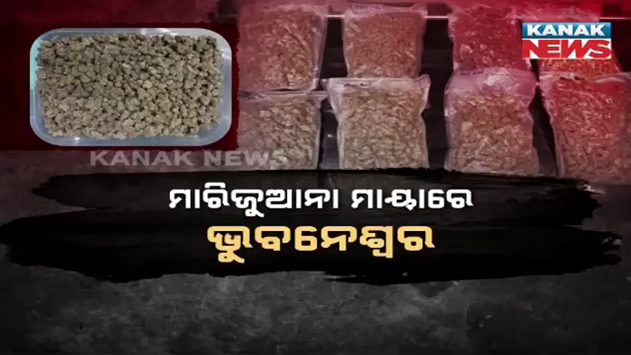  ମାରଜୁଆନା ମାୟାରେ ପଡିଛି ଭୁବନେଶ୍ୱର  । ଗୋଟିଏ କିଲୋକୁ କୋଟିଏ ଟଙ୍କା, ମହିଳା ସାଜିଛନ୍ତି ମାଷ୍ଟରମାଇଣ୍ଡ ।