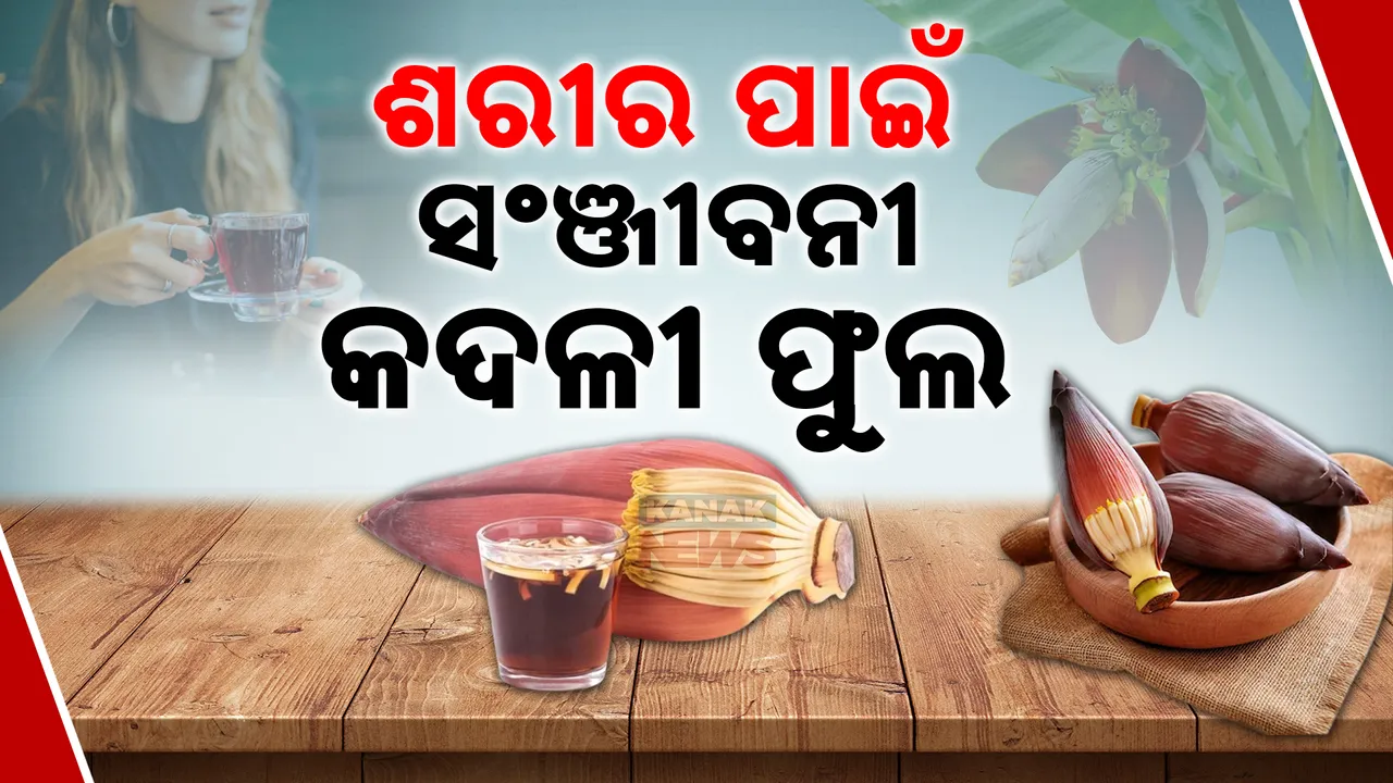  କିଡନୀ ଷ୍ଟୋନ୍ ସମସ୍ୟା କାଟିବ , ଡାଏବେଟିସକୁ ଦୂର କରିବ । ମହିଳାଙ୍କ ପାଇଁ ମହୌଷଧୀ କଦଳୀ ଫୁଲର ସୁପ୍