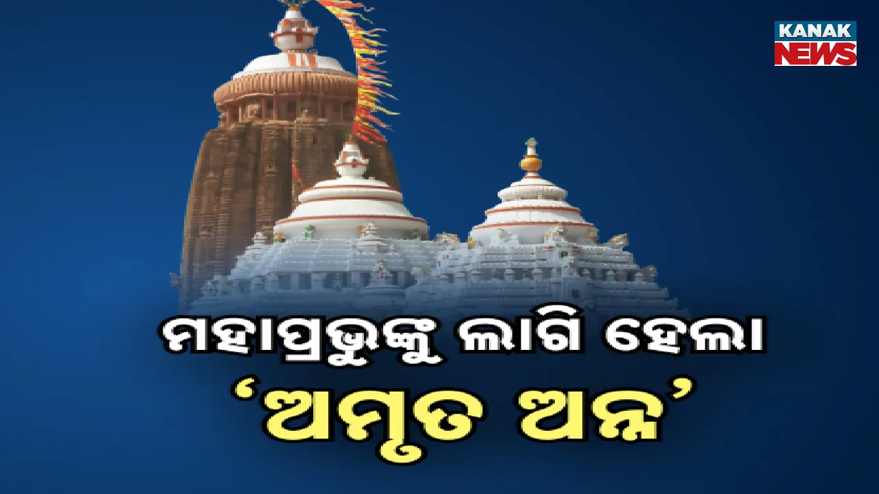  ମହାପ୍ରଭୁଙ୍କ ପାଖରେ ଲାଗି ହେଲା ଜୈବିକ ଚାଉଳ । ୫ ପ୍ରକାର ଜୈବିକ ଚାଉଳରେ ପ୍ରସ୍ତୁତ ଅମୃତ ଅନ୍ନ ।