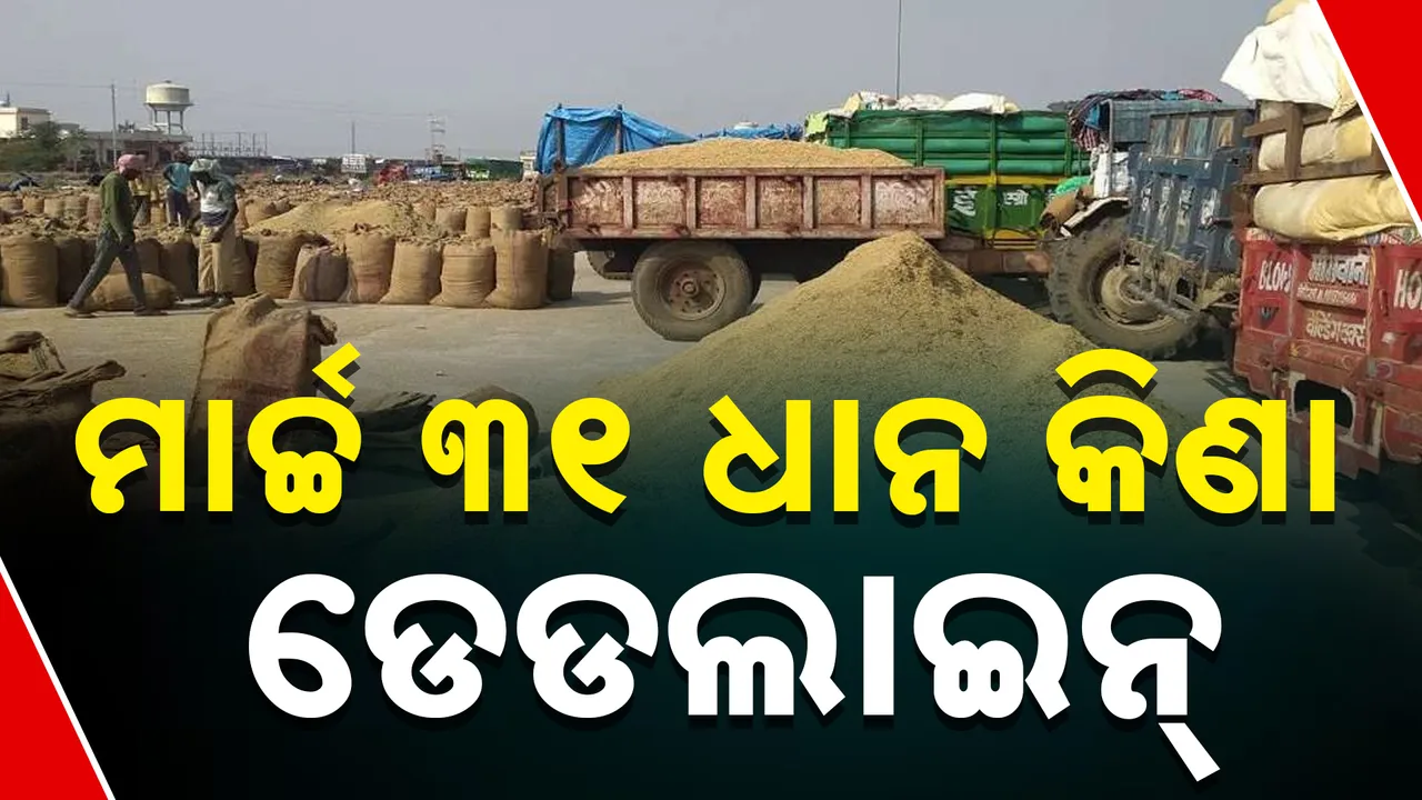  ମାର୍ଚ୍ଚ ୩୧ ପରେ ଧାନ ନେବେନି ସରକାର  Photograph: (KanakNews ) 