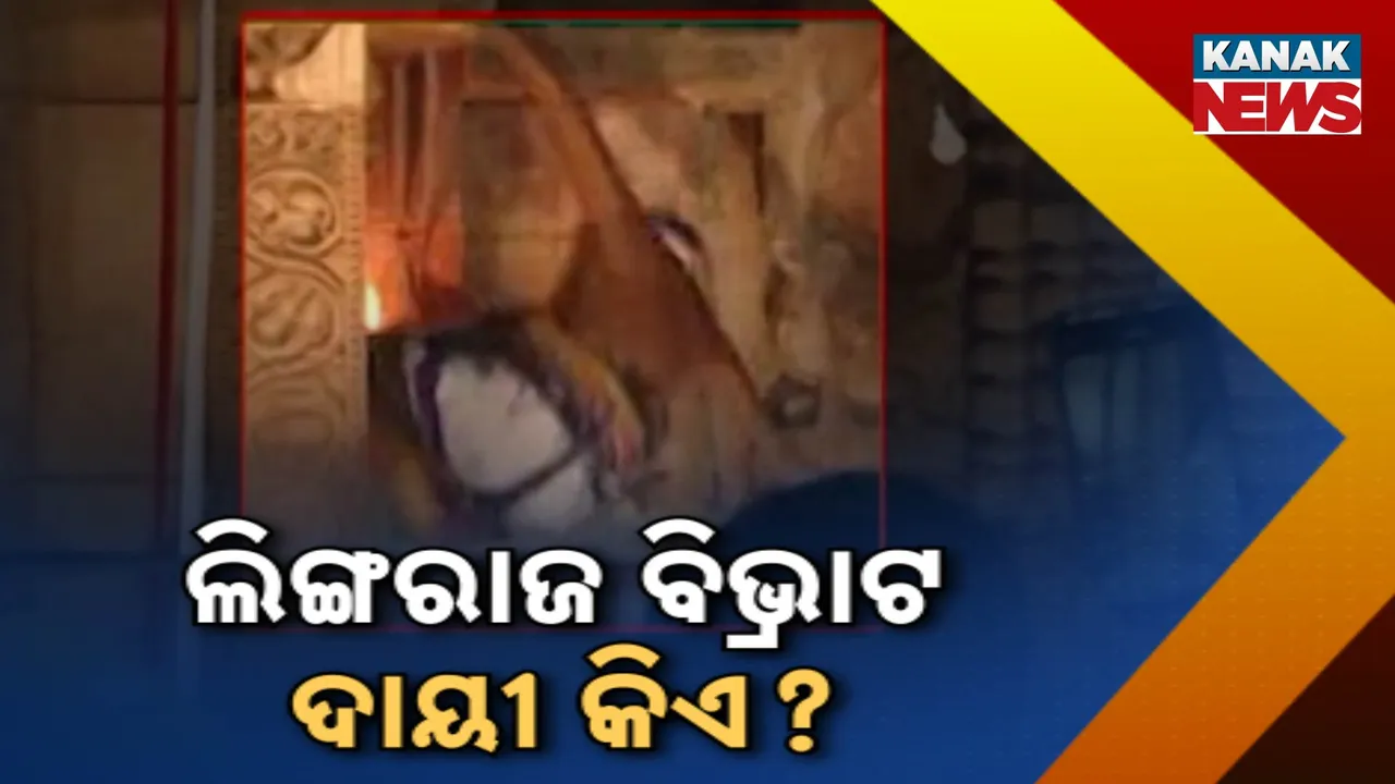  ଲିଙ୍ଗରାଜ ବିଭ୍ରାଟ: ଦାୟୀ କିଏ? Photograph: (kanakNews) 