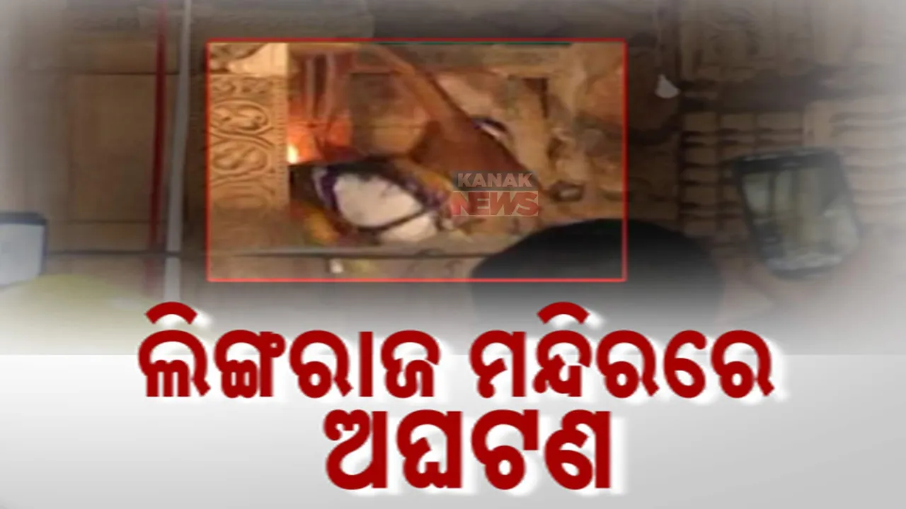  ଲିଙ୍ଗରାଜ ମନ୍ଦିରରେ ଅଘଟଣ । ମହାଦୀପ ନେଇ ଚଢୁଥିବା ବେଳେ ମନ୍ଦିର ଉପରୁ ଖସିପଡିଲେ ସେବାୟତ