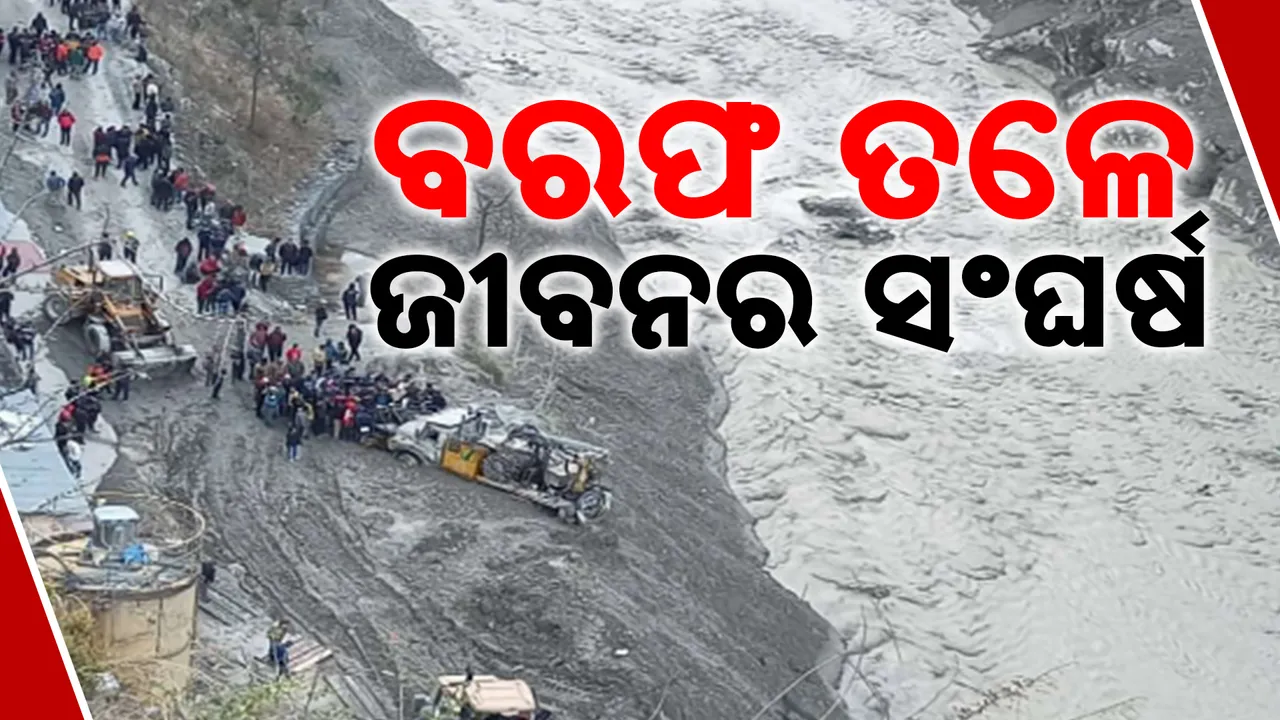  ବରଫ ତଳେ ଜୀବନର ସଂଘର୍ଷ  Photograph: (kanakNews) 