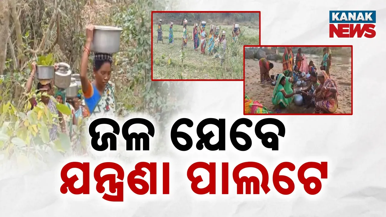  Photograph: (kanak news) 