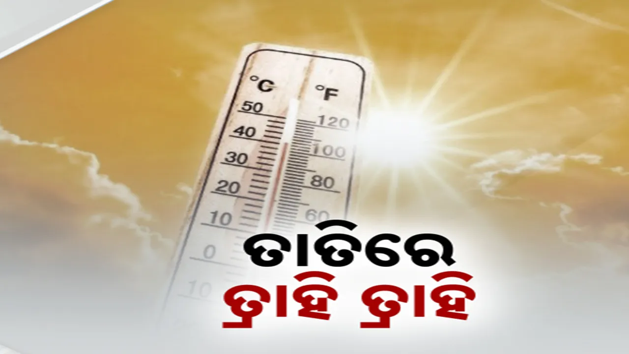  ତାତିରେ ତ୍ରାହି ତ୍ରାହି Photograph: (kanaknews) 