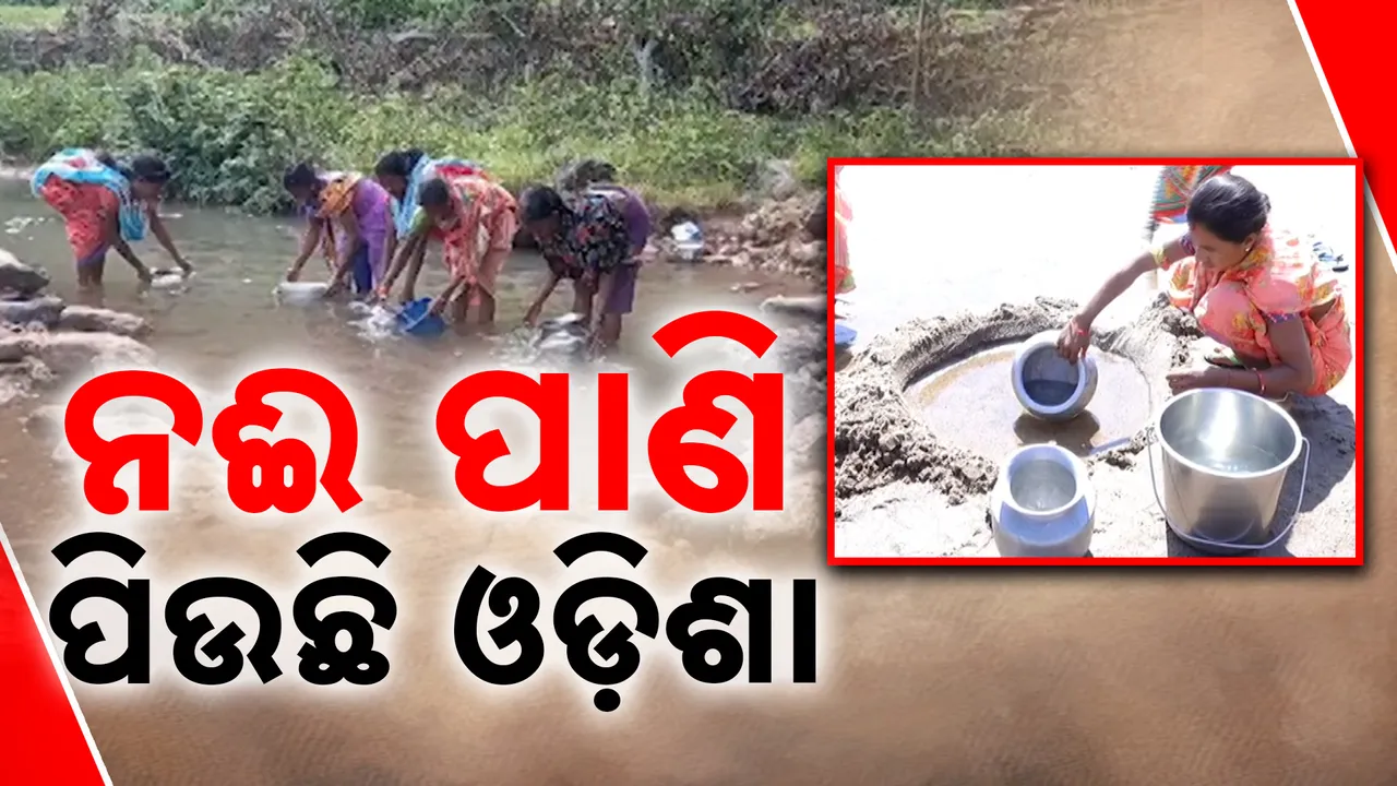  ନଈ ପାଣି ପିଉଛି ଓଡ଼ିଶା  Photograph: (KanakNews ) 