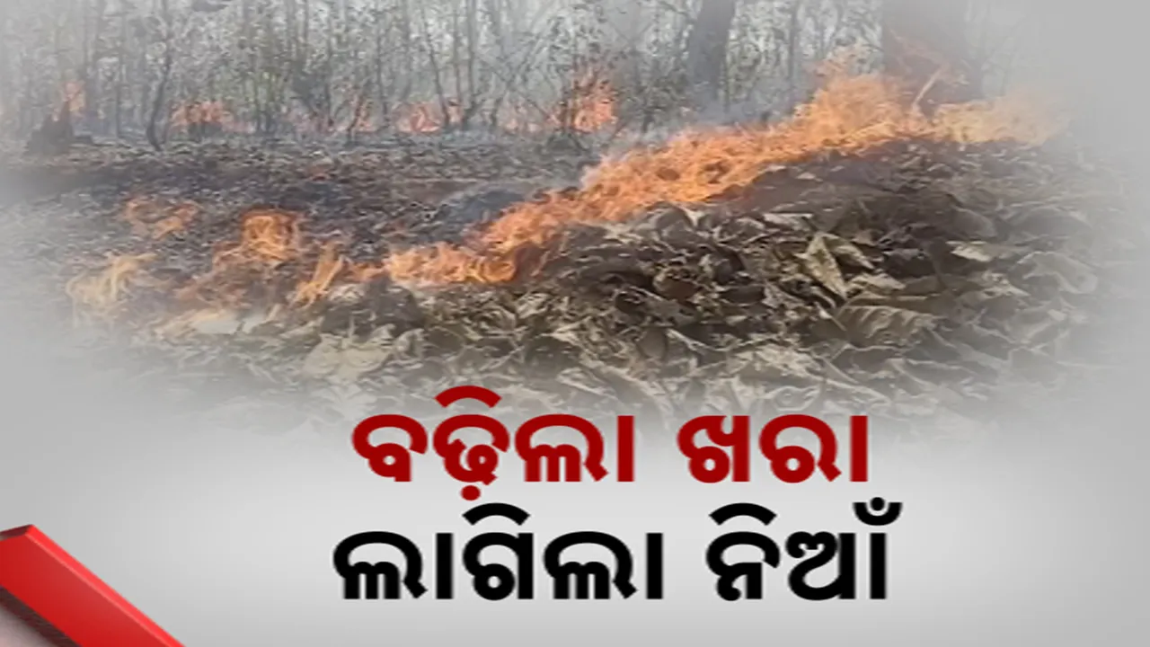  ବଢ଼ିଲା ଖରା, ଲାଗିଲା ନିଆଁ Photograph: (kanaknews) 