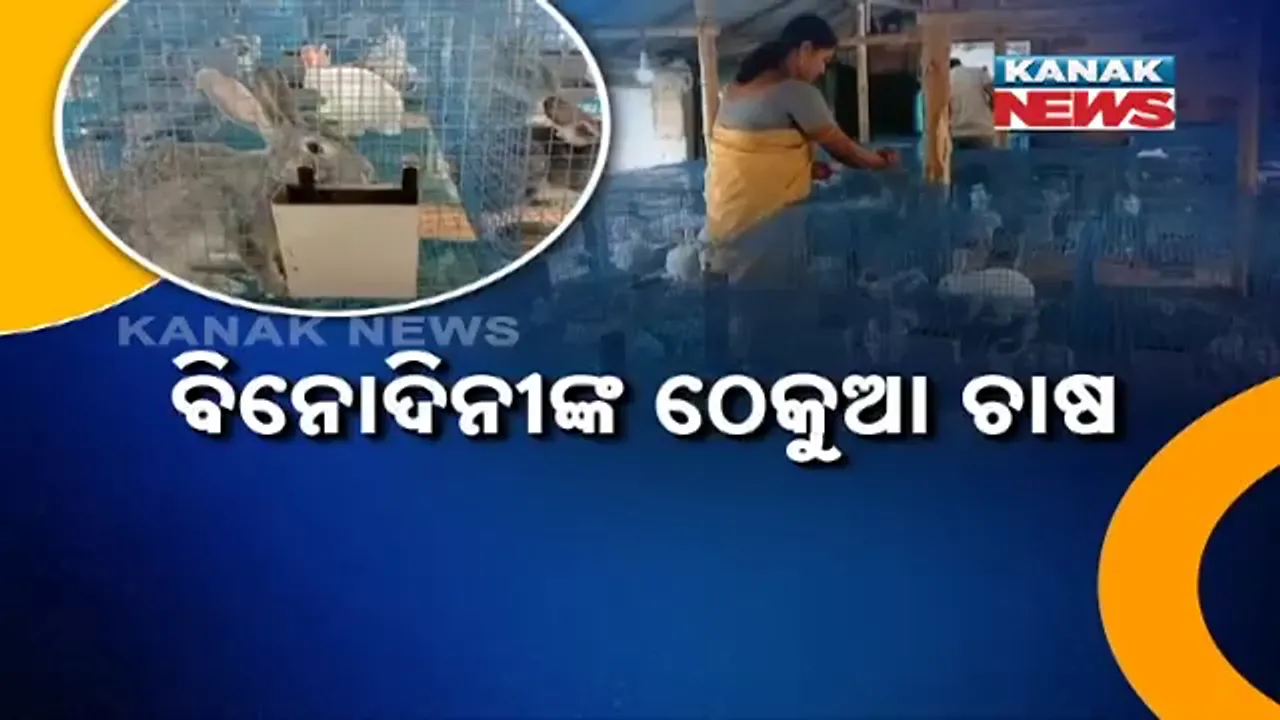  ଶିକ୍ଷିତ ମହିଳାଙ୍କ ନିଆରା ପ୍ରୟାସ, ବିନୋଦିନୀଙ୍କ ଠେକୁଆ ଚାଷ
