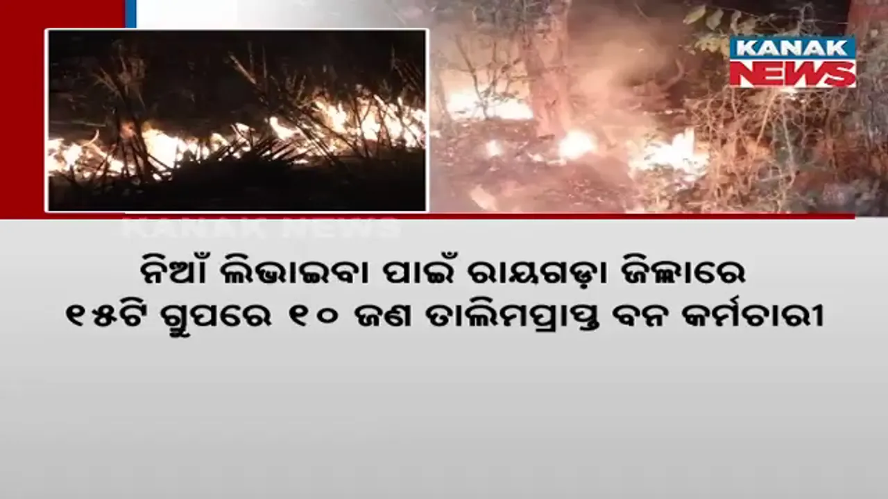  ଖରାଦିନ ଆସୁଆସୁ ଜଳୁଛି ଜଙ୍ଗଲ, ରାଜ୍ୟର ବିଭିନ୍ନ ଜଙ୍ଗଲରେ ନିଆଁ
