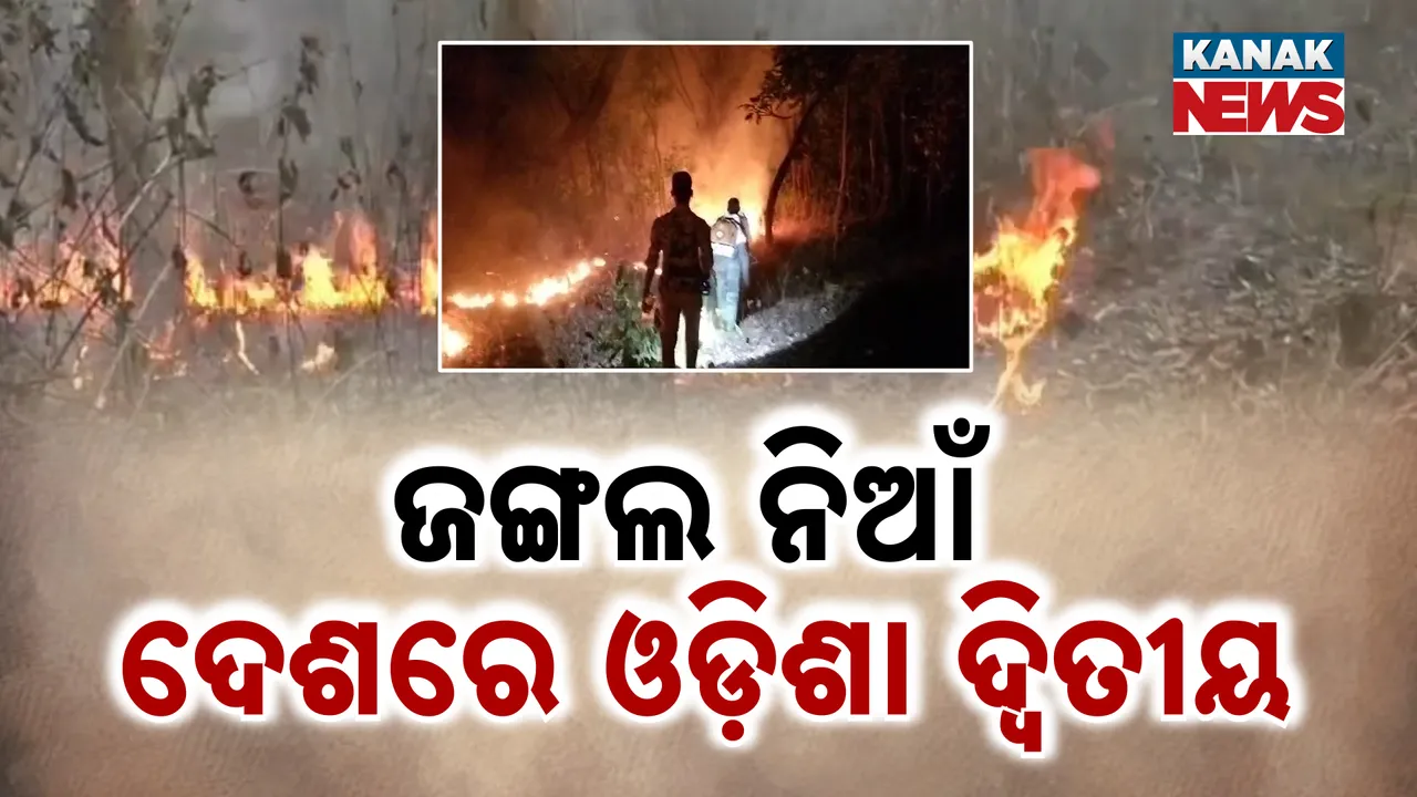  Photograph: (KANAK NEWS) 
