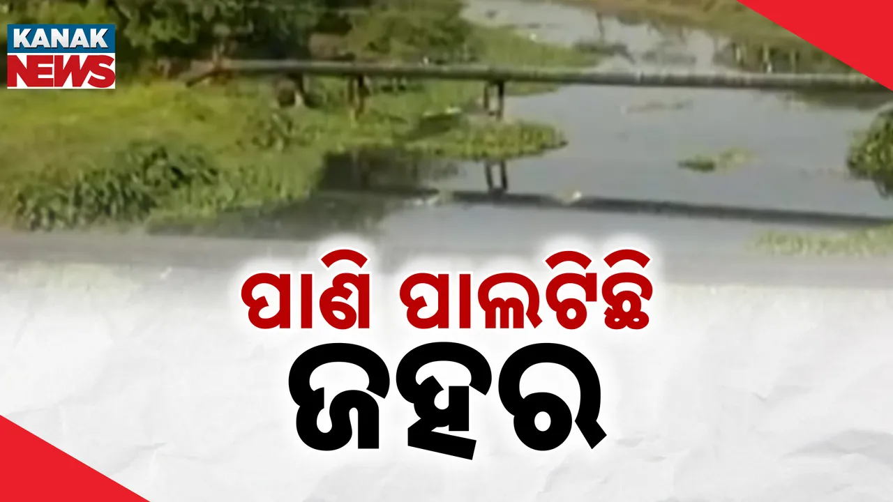  ରାଜଧାନୀର ଜଳାଶୟ ଓ ନାଳ ସମ୍ପୂର୍ଣ୍ଣ ବିଷାକ୍ତ । ଜଳାଶୟ ଗର୍ଭରେ ଆବର୍ଜନାର ପାହାଡ