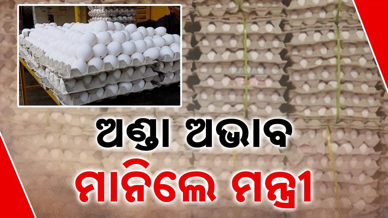  ଓଡ଼ିଶାରେ ଅଣ୍ଡା ଅଭାବ ନେଇ ମାନିଲେ ମନ୍ତ୍ରୀ । ବାର୍ଷିକ ମୁଣ୍ଡପିଛା ଦରକାର ୧୮୦, ହେଲେ ଉତ୍ପାଦନ ହେଉଛି ମାତ୍ର ୮୦