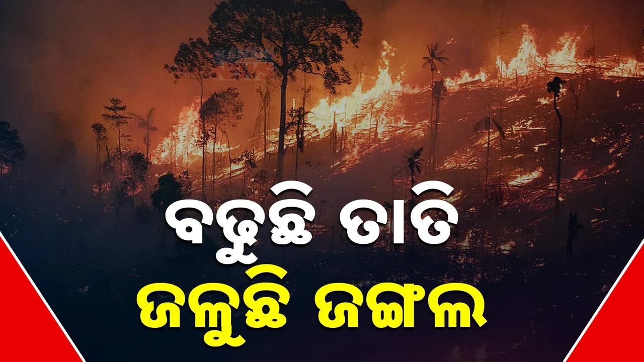  Photograph: (kanak news) 