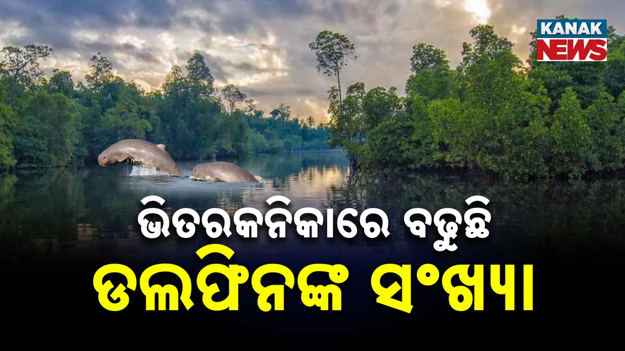  ଭିତରକନିକା Photograph: (କନକ ନ୍ୟୁଜ୍) 