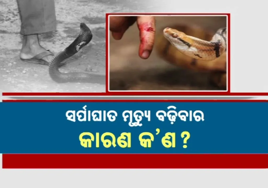  Photograph: (kanak news) 